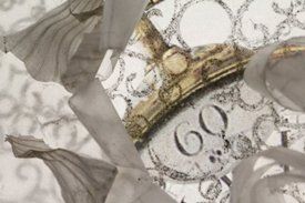 photo by Michele Garrick