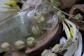 photo by Michele Garrick