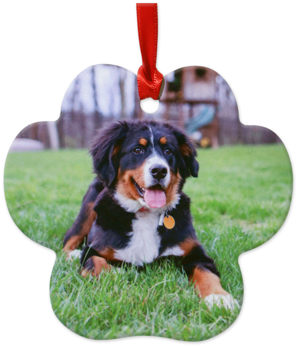 personalized photo ornaments at Milford Photo