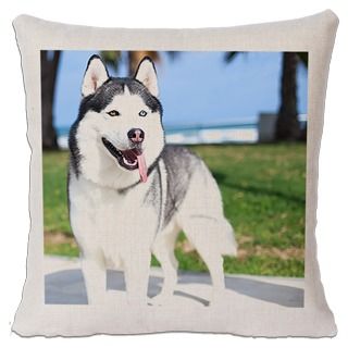 Throw Pillows