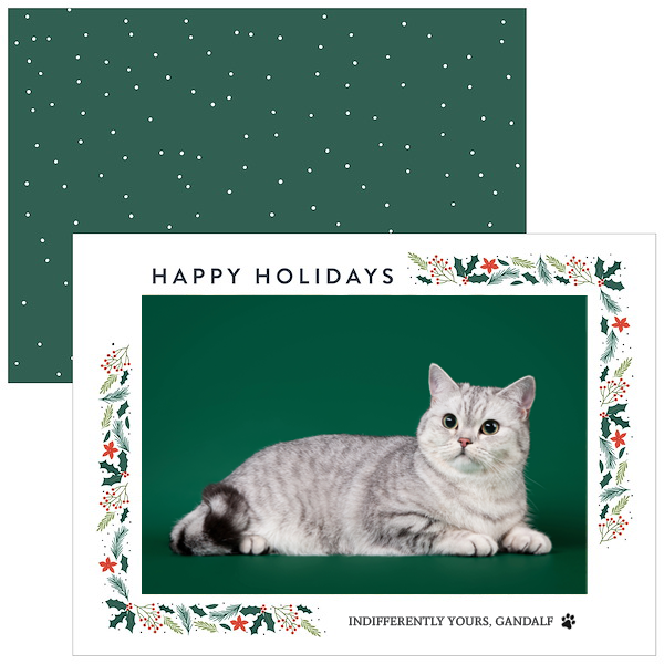 holiday greeting cards at Milford Photo