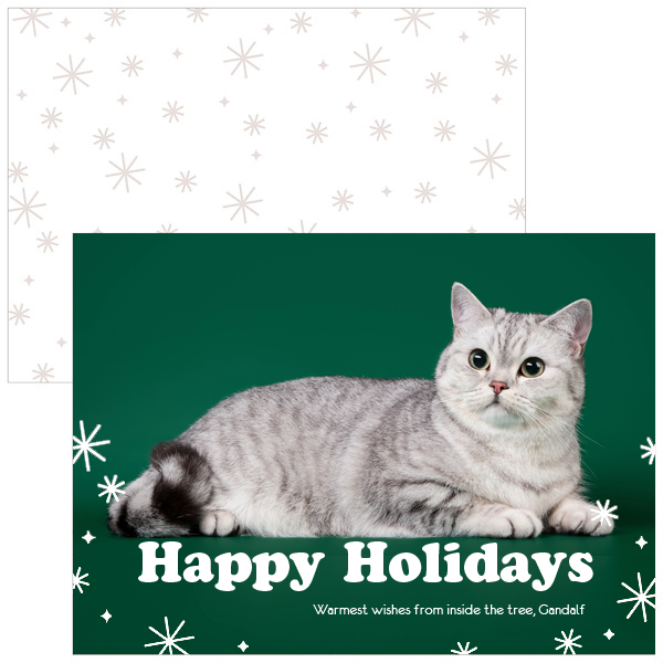 holiday greeting cards at Milford Photo