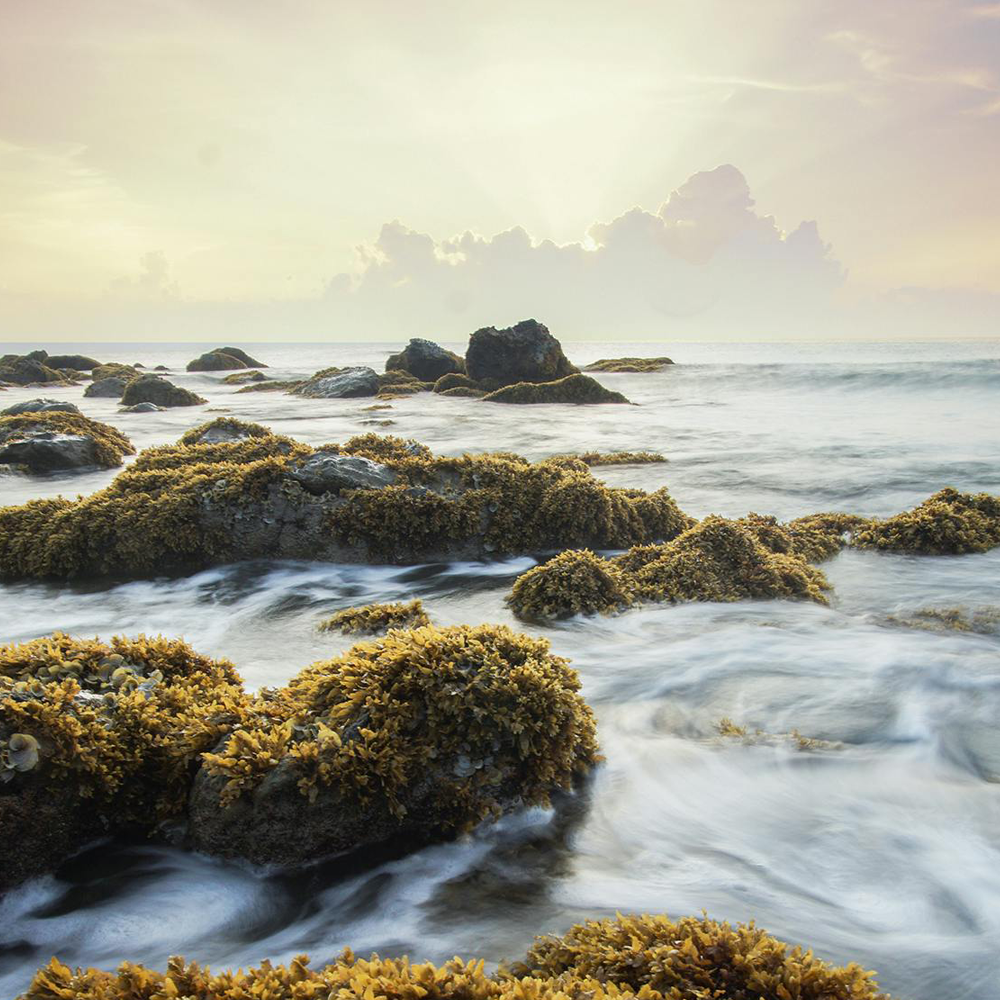 Milford Photo's Camera Settings & Techniques 4-Class Series