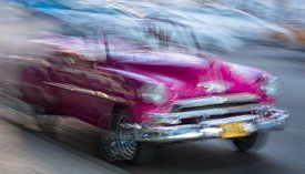 photo by Steve Ellis