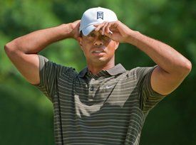 photo by Steve Ellis