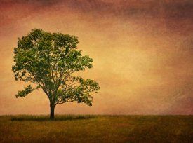 photo by Steve Ellis