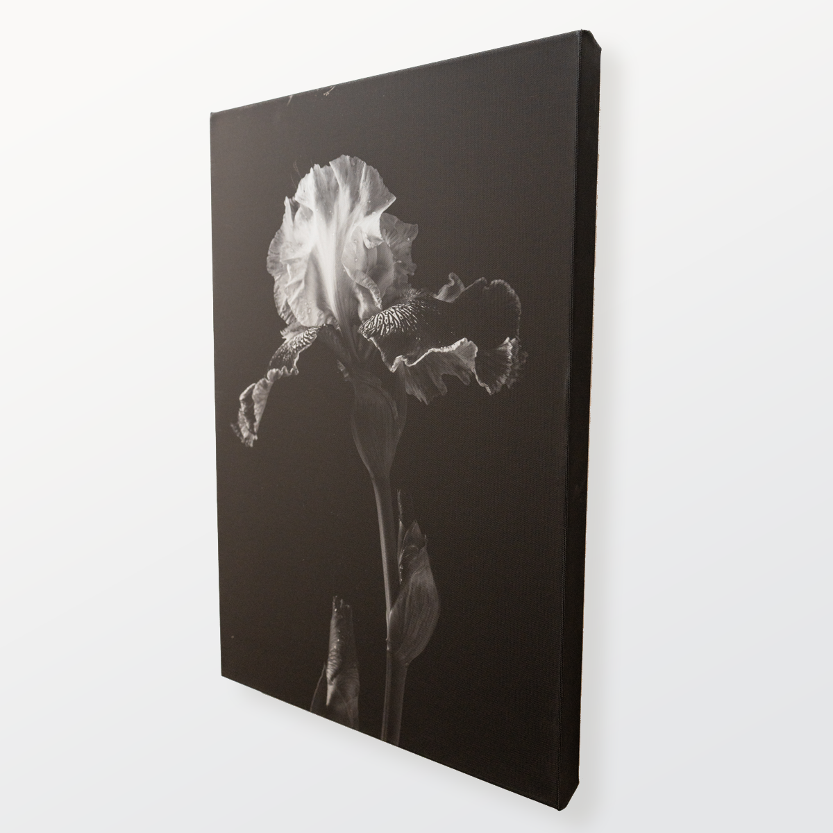 Canvas Wrap Prints