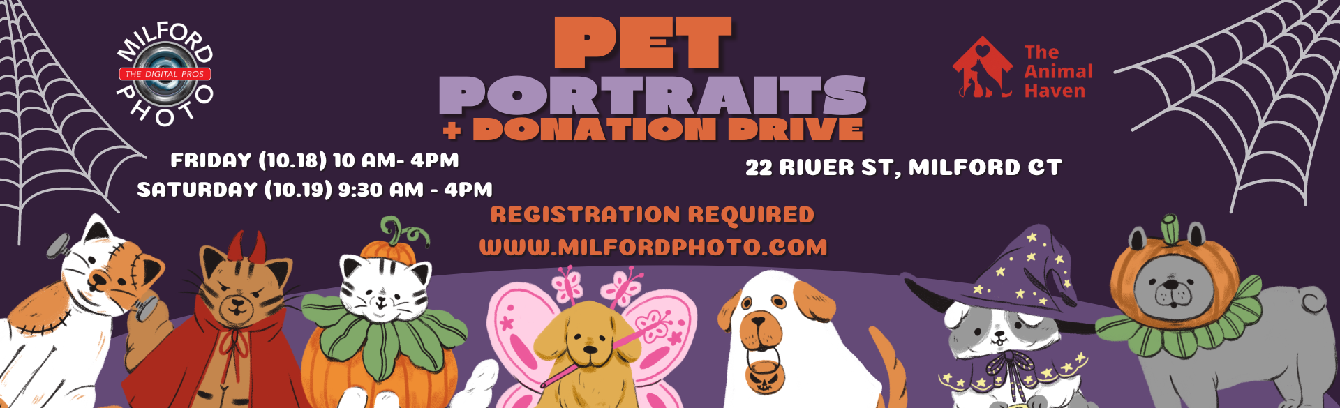 Pet Portraits