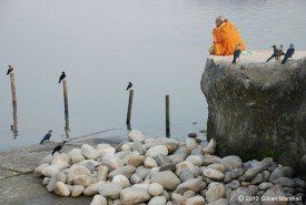 photo by Gillian Marshall