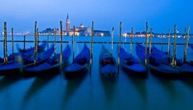 photo by Steve Ellis