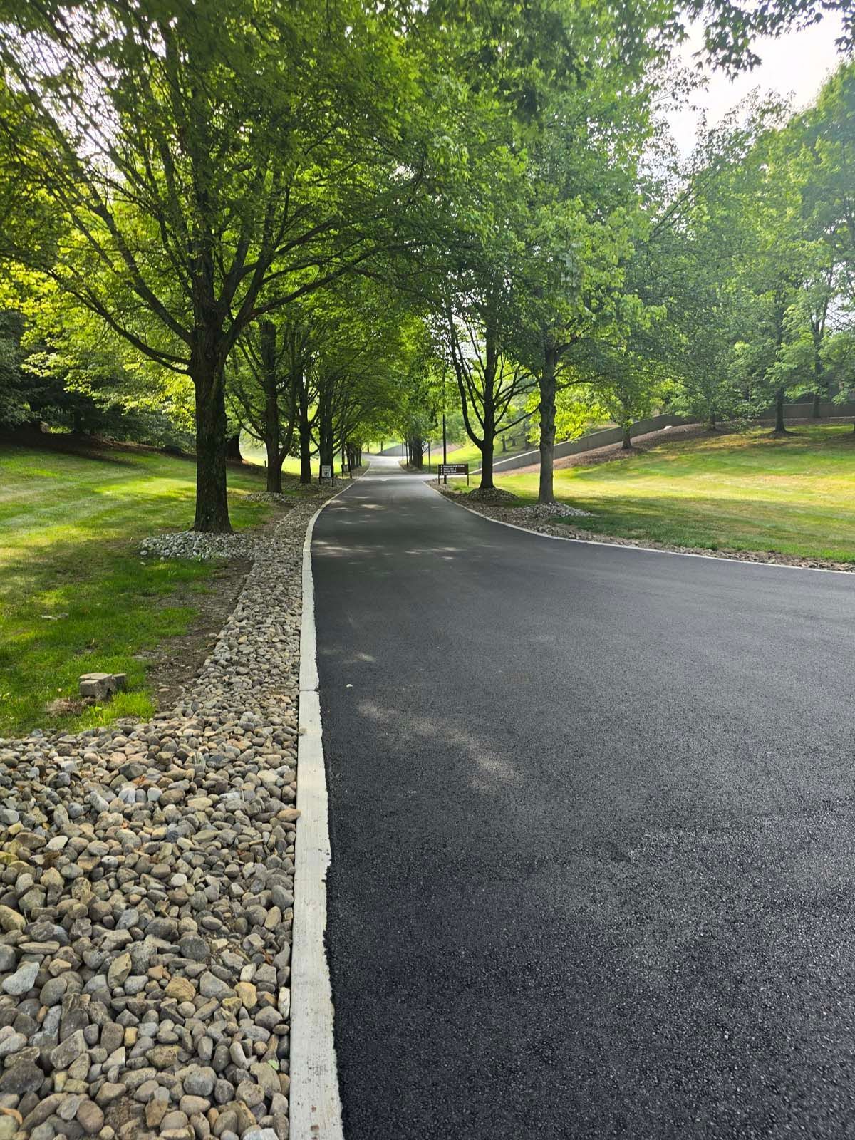 A road with trees on both sides of it