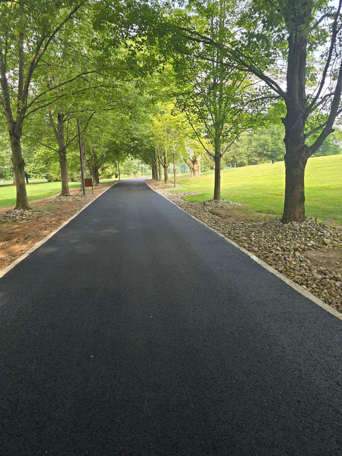A road going through a park with trees on both sides.