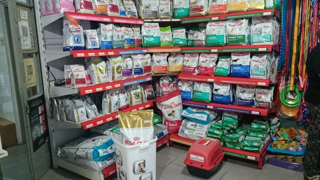 CEMEVET CENTRO MEDICO VETERINARIO