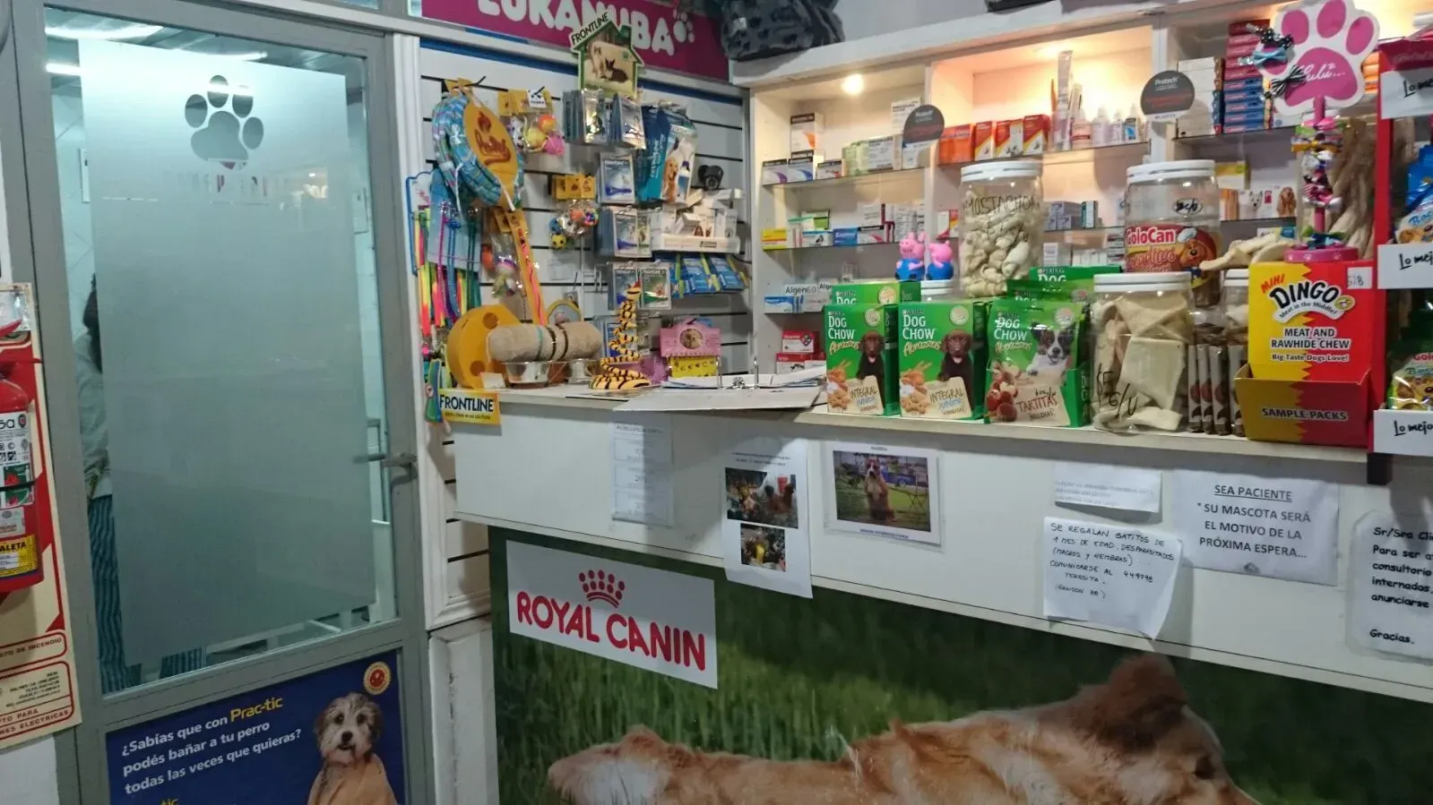 CEMEVET CENTRO MEDICO VETERINARIO