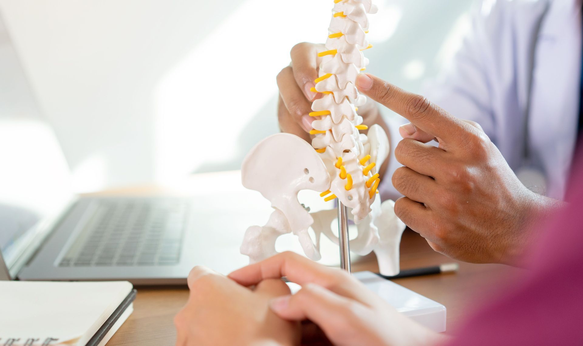 Chiropractic Care and Immunity Blog Adelaide