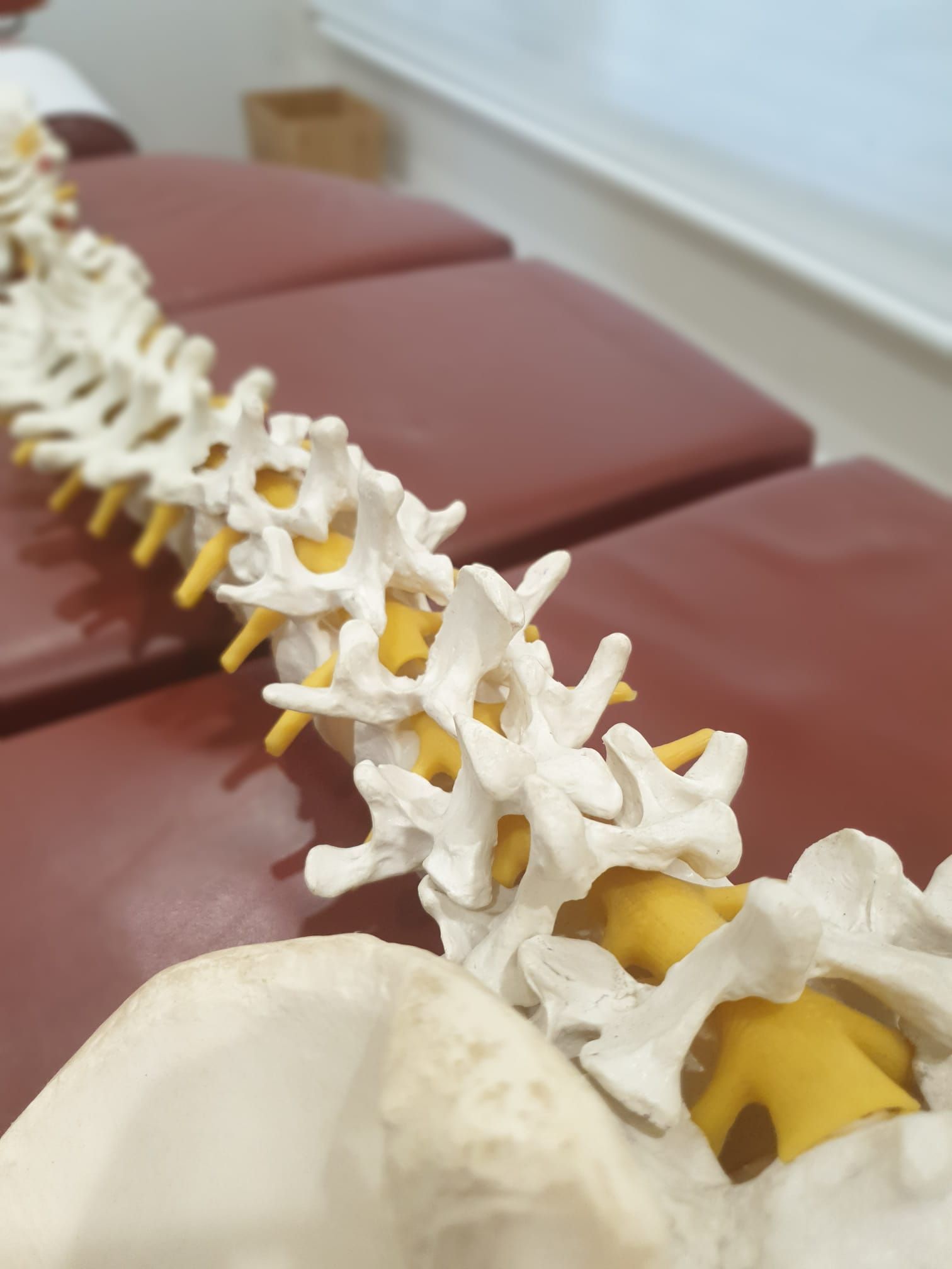 Chiropractic VS Painkillers | Neck Pain Treatment Adelaide, Natural Relief