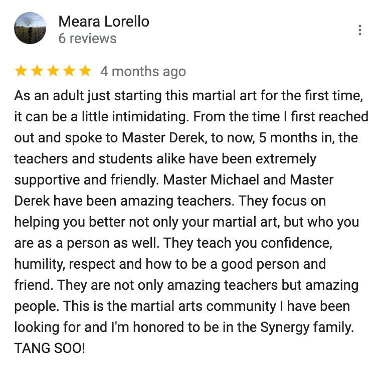 A review of martial arts by meara lorello