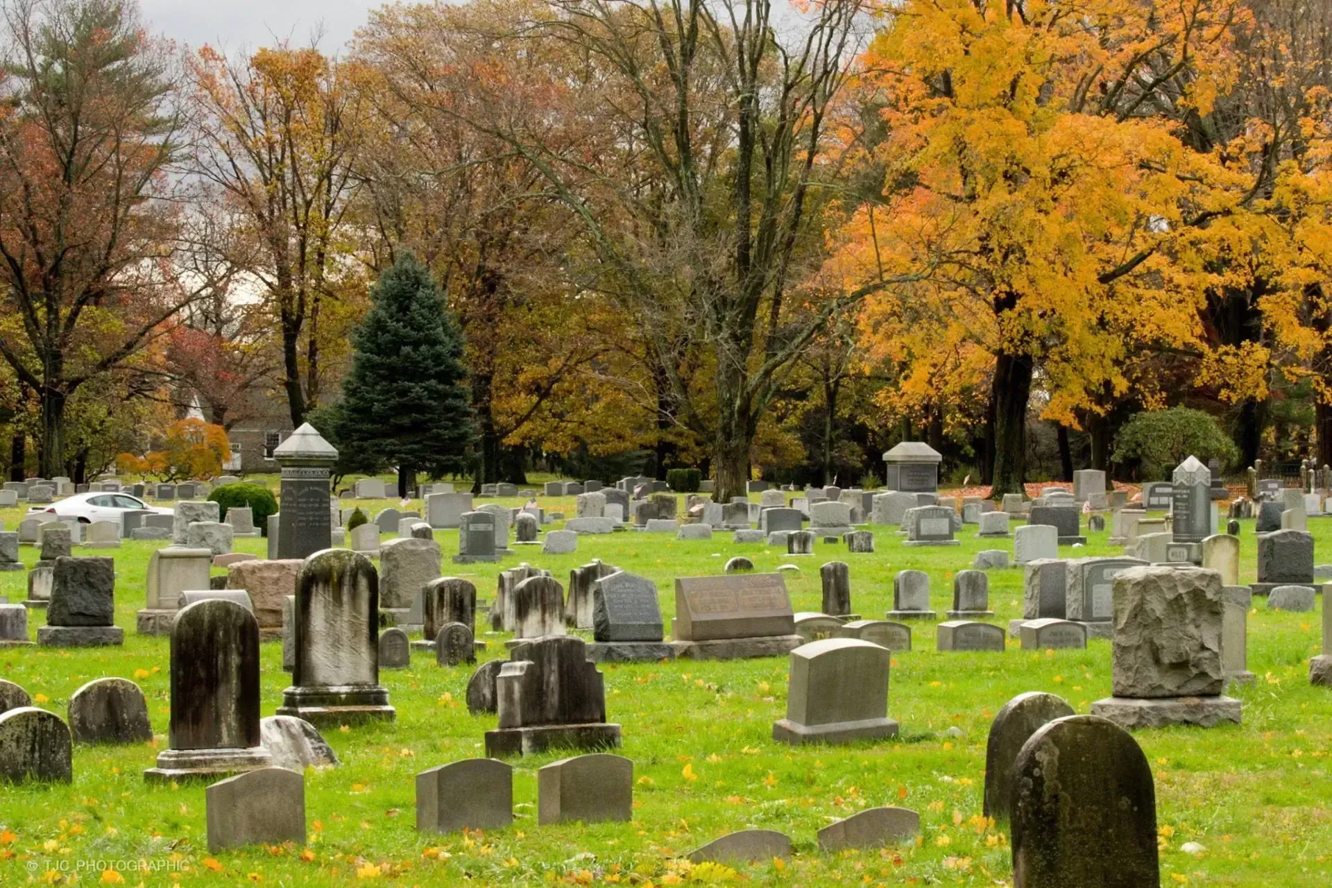 Cemetery with numerous gravestones on green grass, autumn trees with yellow leaves in background.