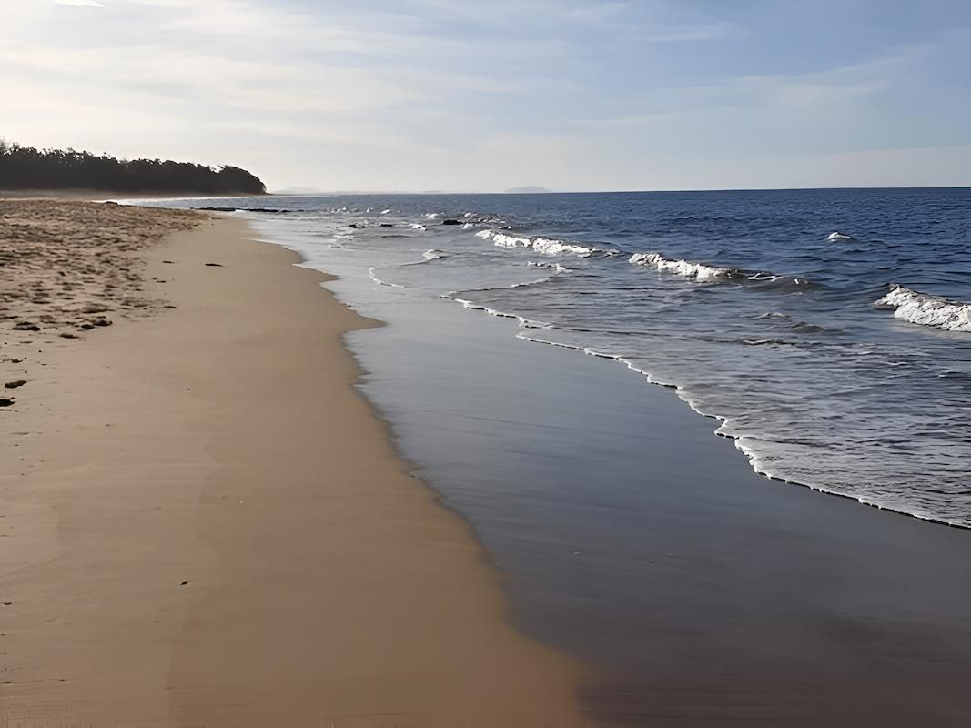 A Sandy Beach With Waves Crashing Against the Shore on a Sunny Day — Bundaberg House of Flowers In Moore Park Beach, QLD