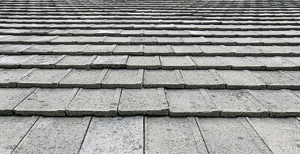 A black and white photo of a tiled roof.