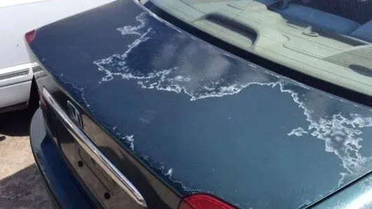 Peeling paint on a teal car trunk, showing faded areas and exposed surface.