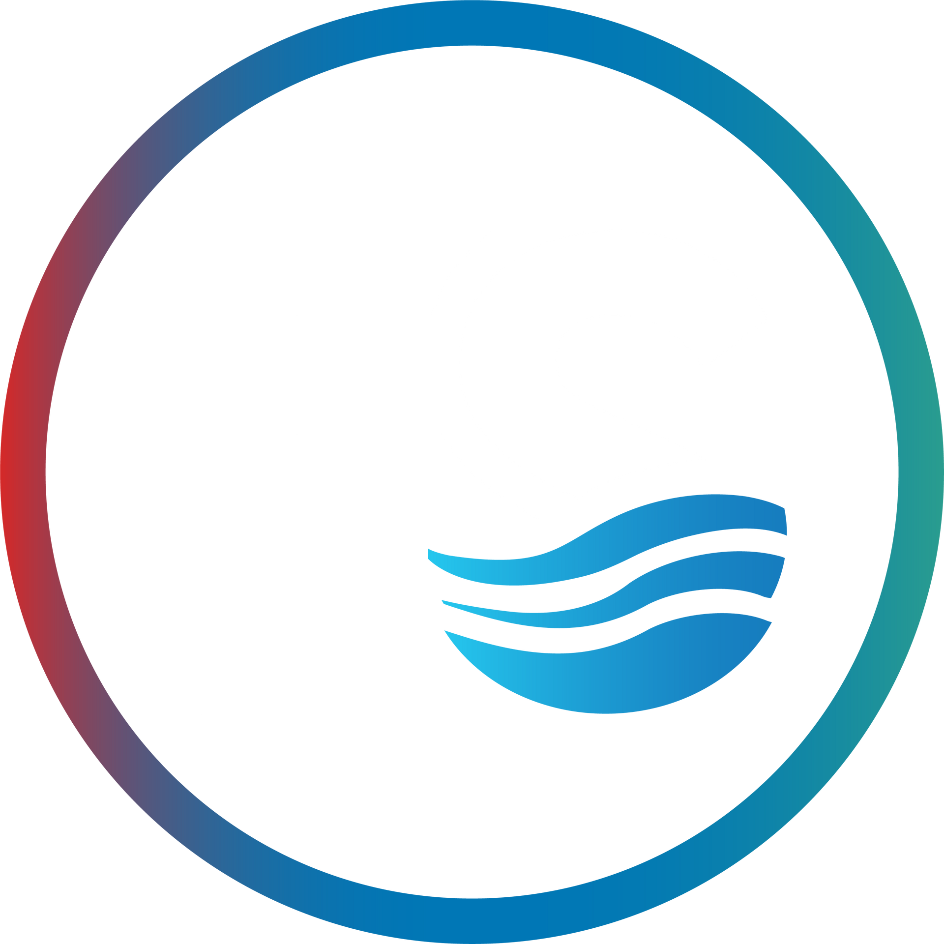 Our Company