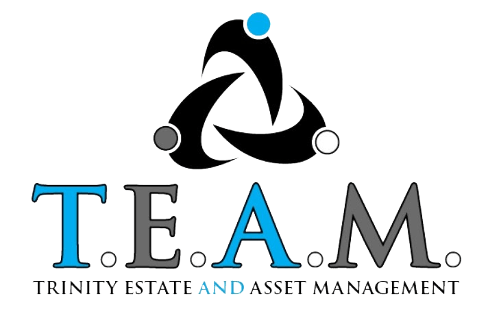 TEAM Management Logo