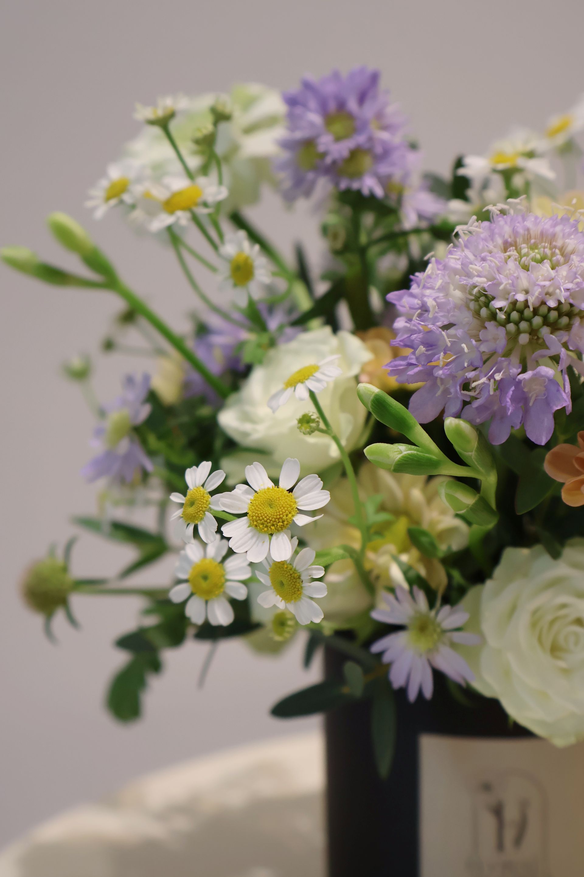 伴日花所,floralvibes,開幕盆花