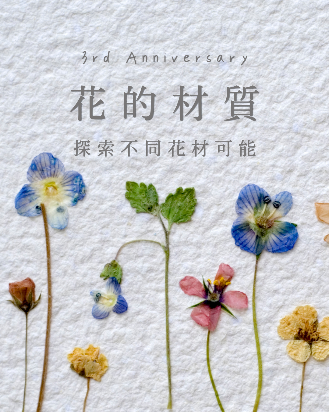 ｜分享×體驗｜探索不同花材可能