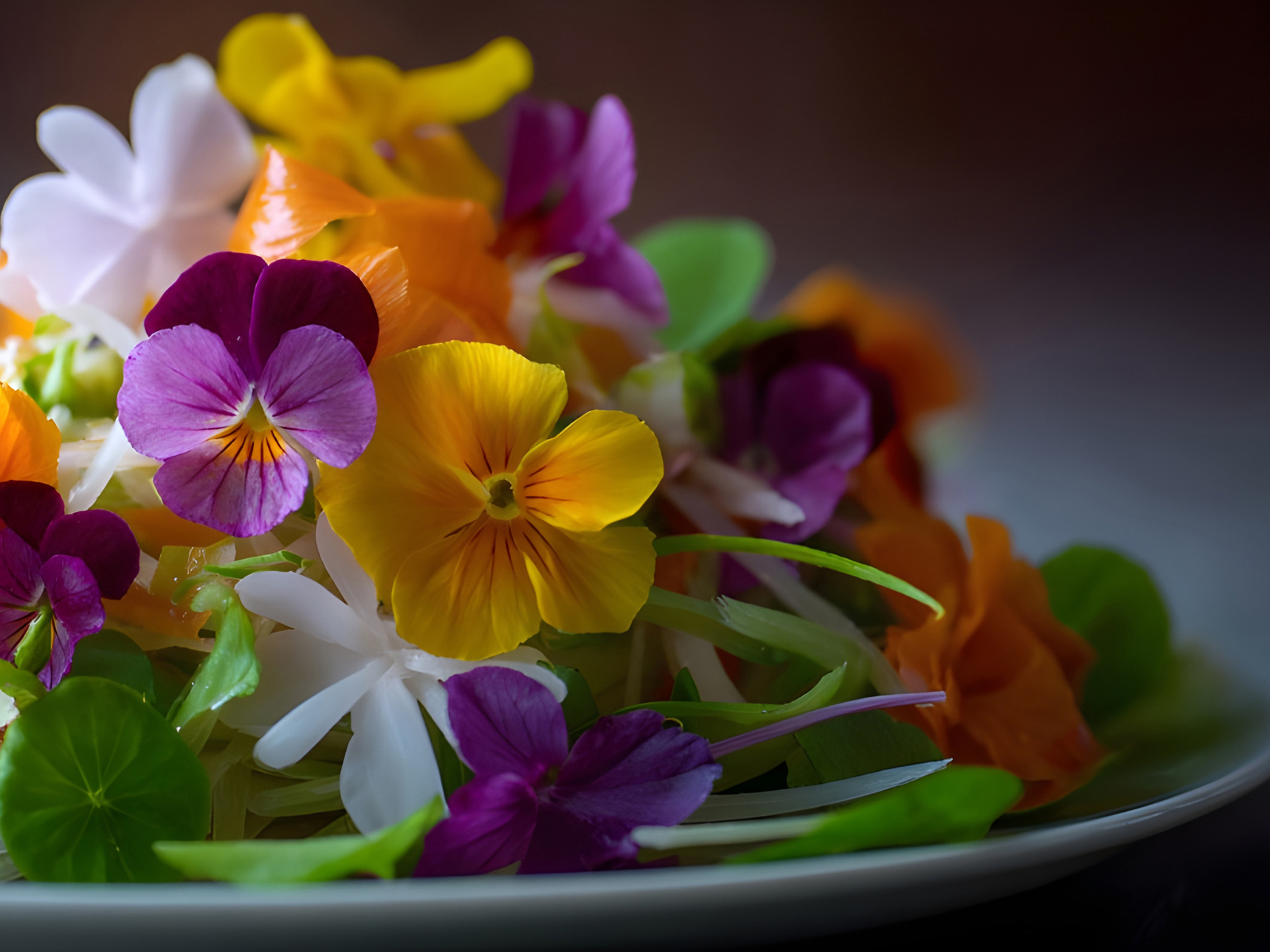 Salad with colorful edible flowers: yellow, purple, orange, and white on a white plate.