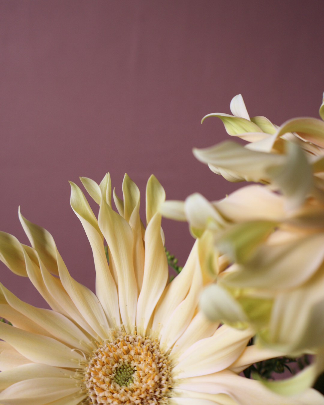 ｜分享×體驗｜四場完整體驗