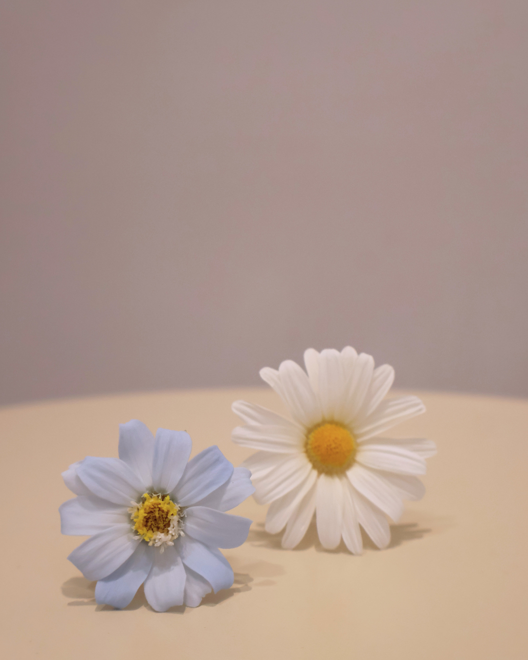 ｜分享×體驗｜探索不同花材可能