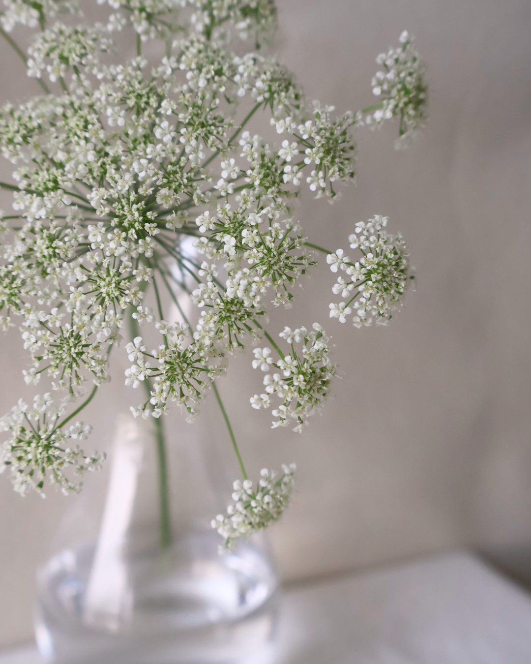 ｜分享×體驗｜把花留下成氣味