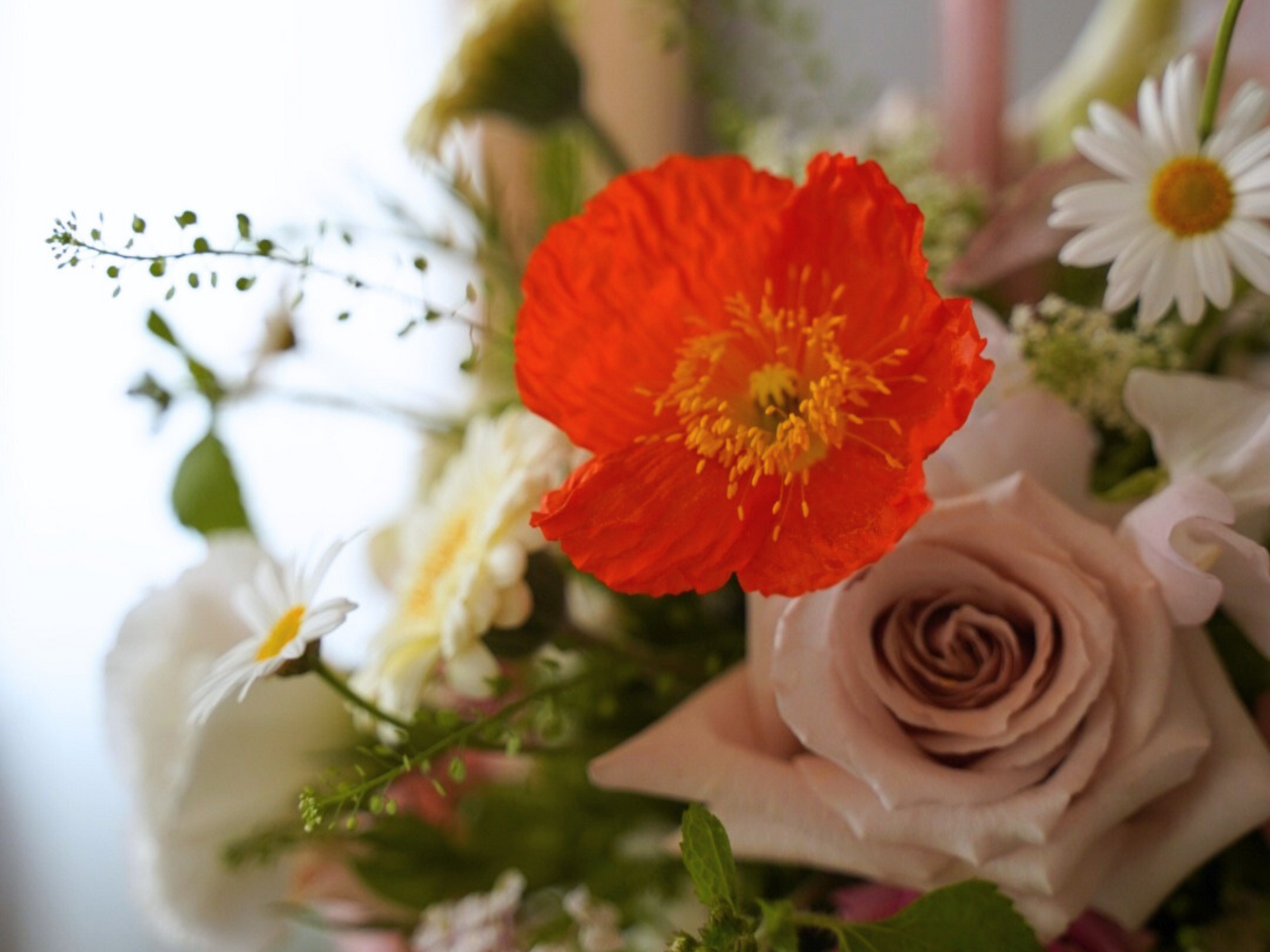 伴日花所,花卉藝術,莫內睡蓮,花卉攝影,藝術靈感,印象派藝術,自然與藝術,花卉之美,花卉創作,藝術療癒,花卉色彩,花卉細節,自然攝影,花卉靈感,藝術與生活