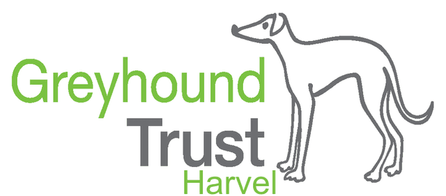 Logo of Retired Greyhound Trust