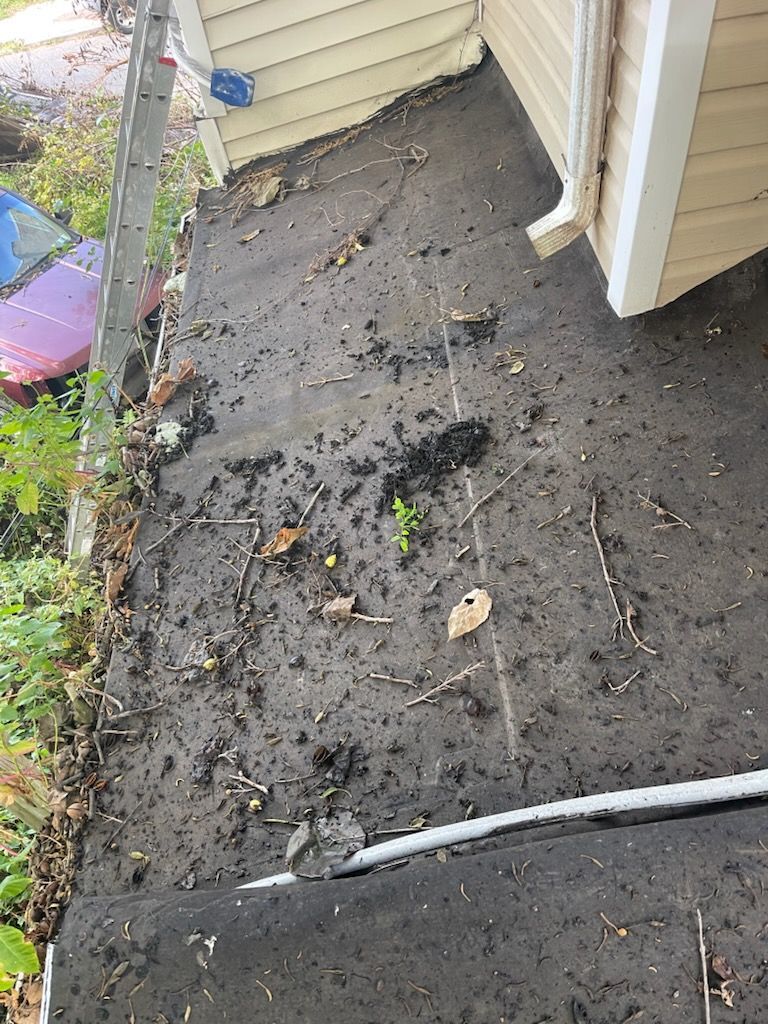 Dark, debris-covered flat roof of a building with visible seams, gutter, and siding.