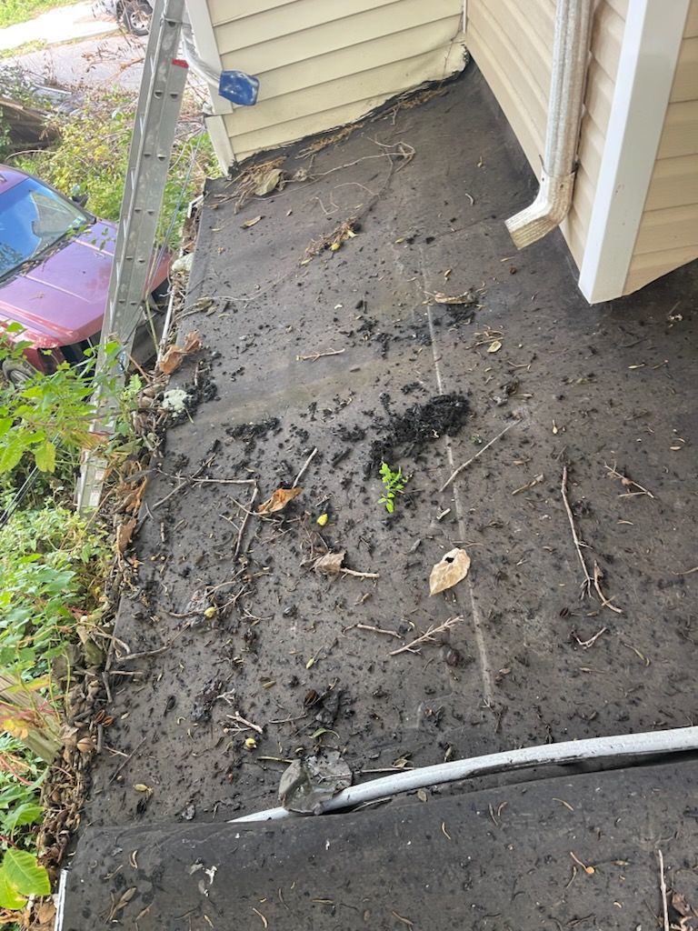 A flat roof covered in debris, twigs, and leaves next to a building with tan siding.