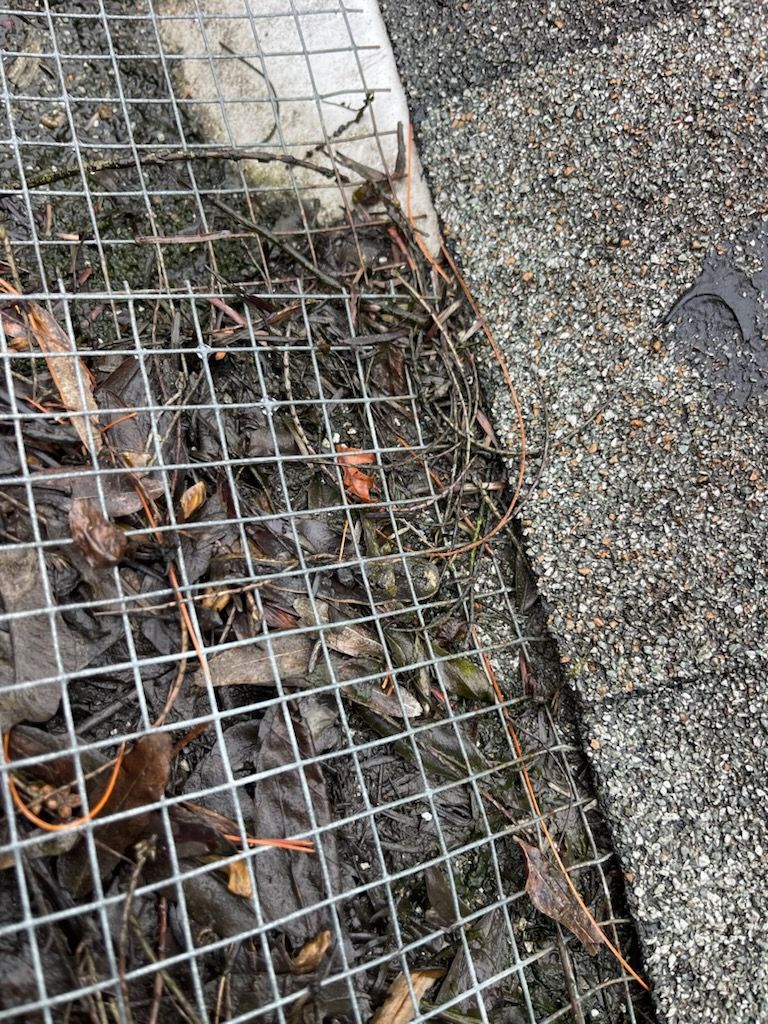 Gutter guard covered in leaves and twigs, adjacent to a section of asphalt shingle roof.