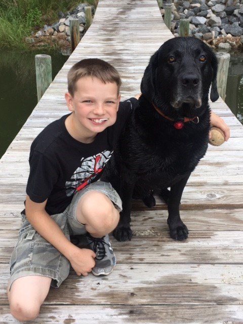 Cockatiel bird with yellow face and orange cheek spots, biting a silver chain bracelet on a person's wrist.