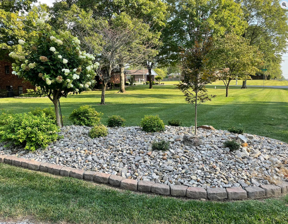 Stone-covered garden bed with greenery and small trees in a grassy yard, sunny day.