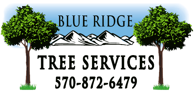 Blue Ridge Tree Services