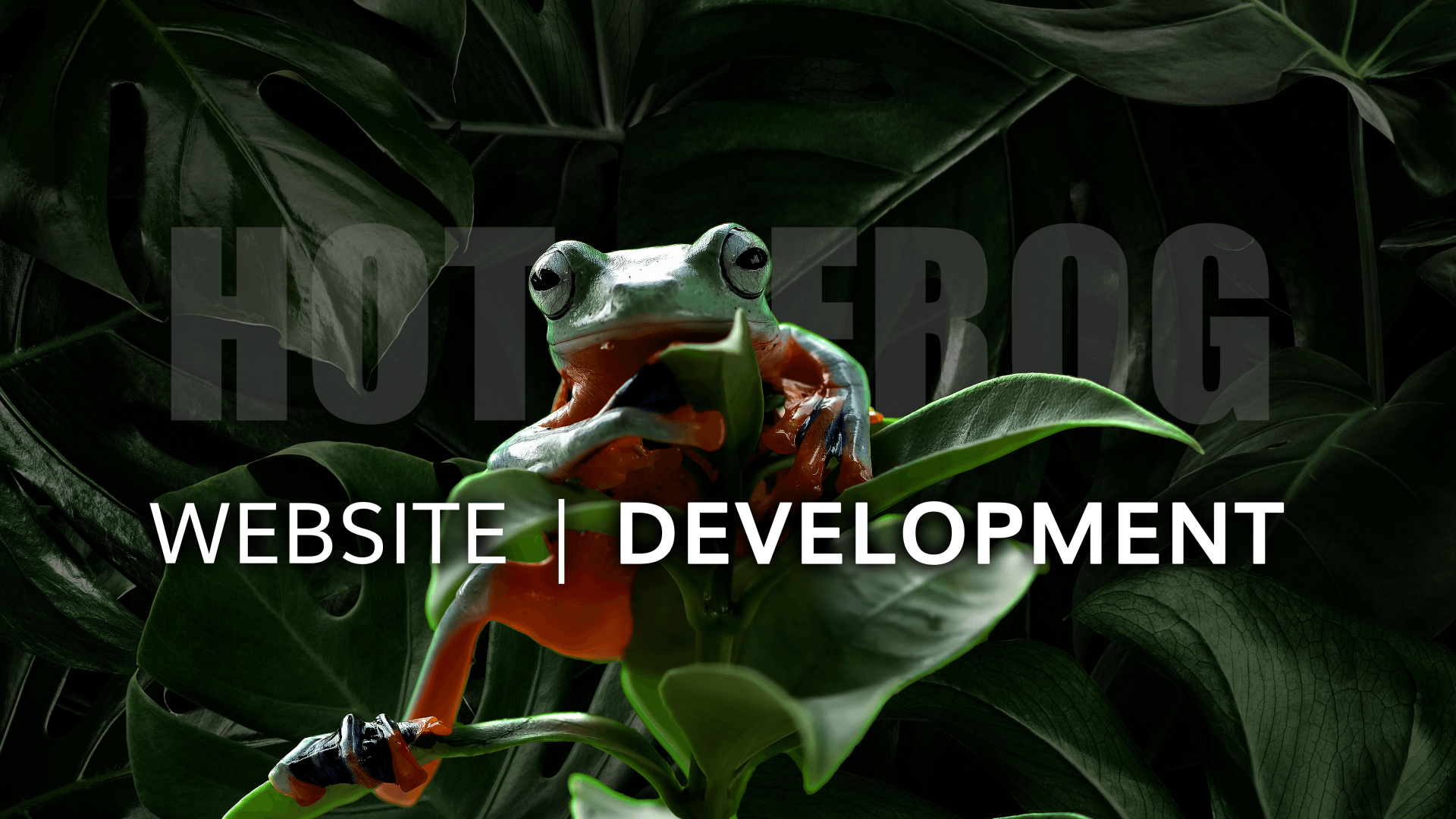 Websites By Hot Frog Omni-Channel Marketing