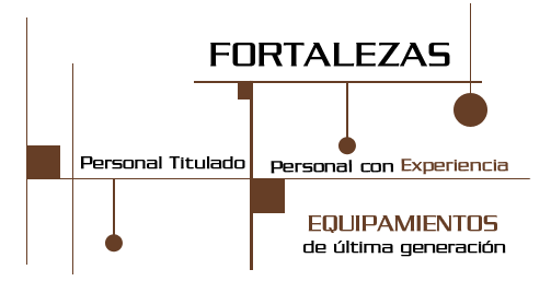 Topografía Villarrica