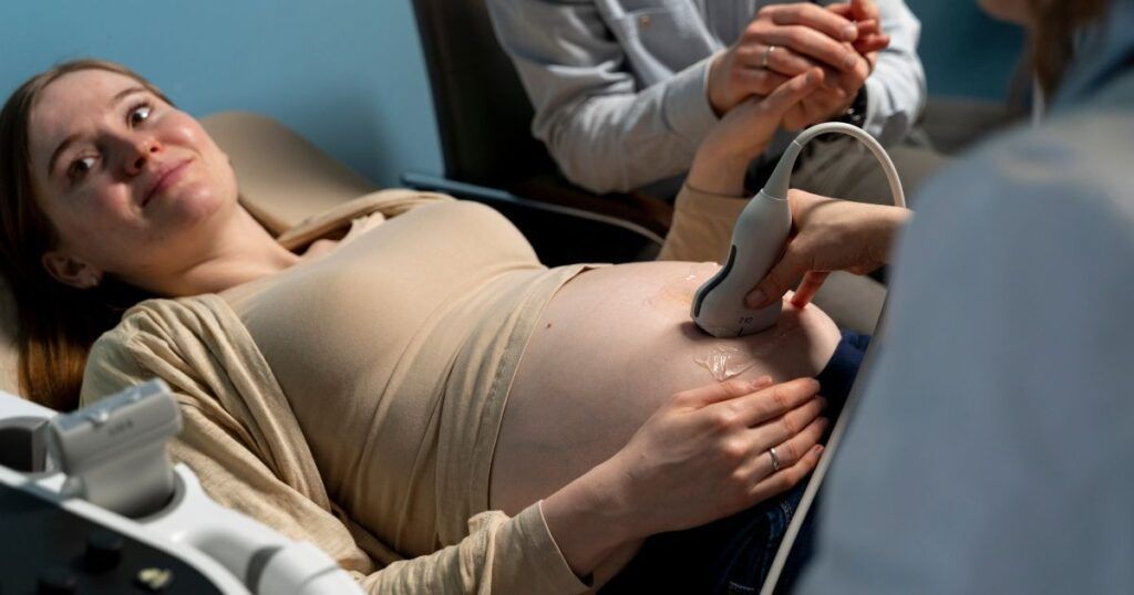 Assortment of culinary herbs and spices arranged in a circle, including cinnamon, ginger, turmeric, and rosemary, with a mortar and pestle.