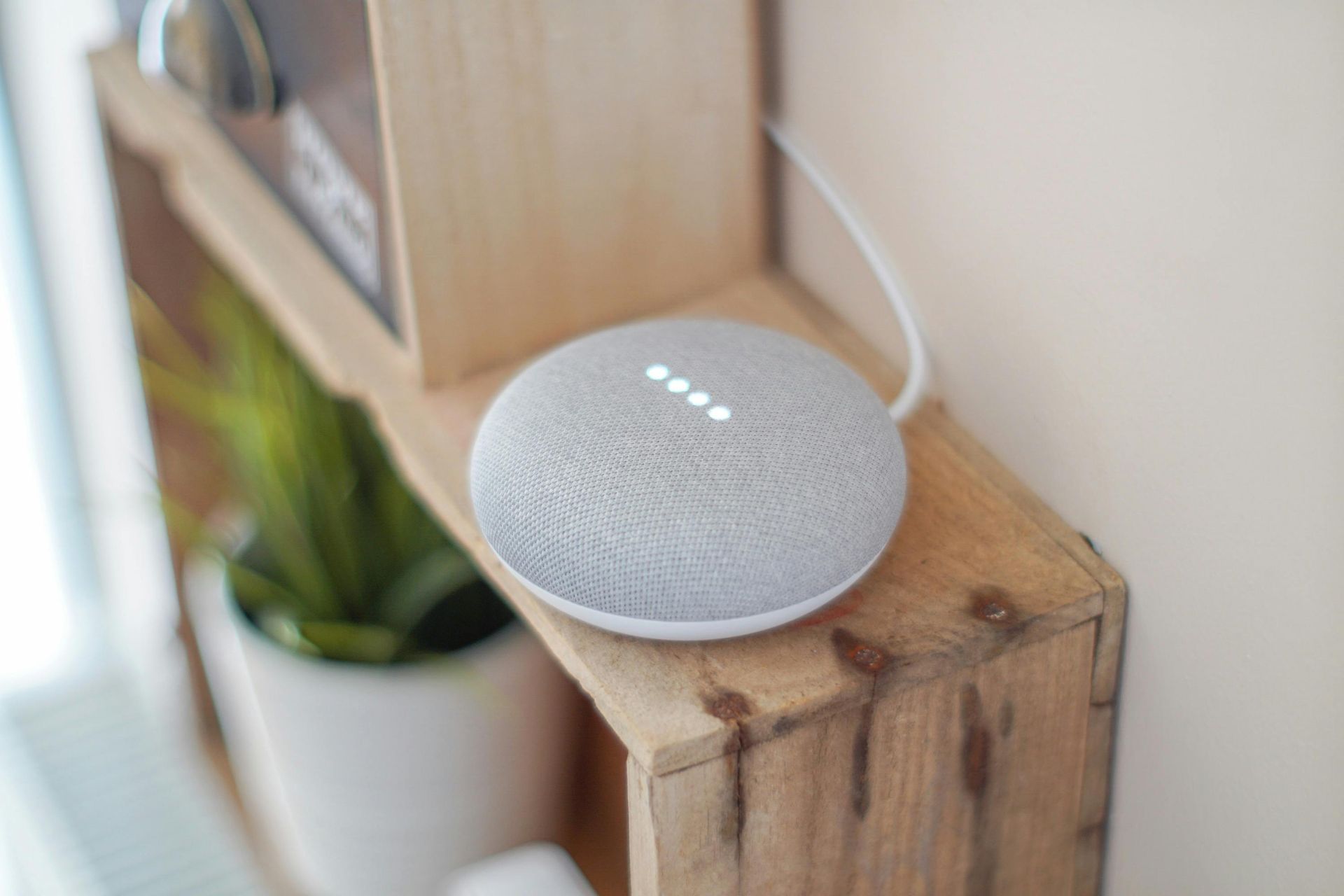 A smart speaker is sitting on a wooden shelf next to a potted plant.