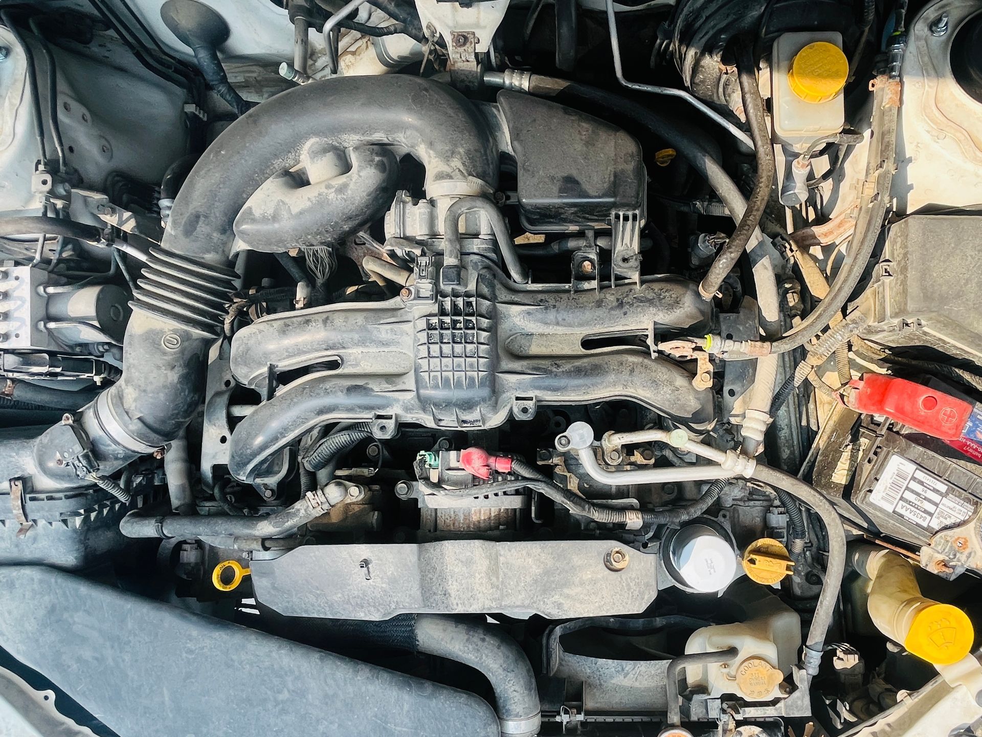 Close-up view of the engine bay of a Subaru Forester, showing various components