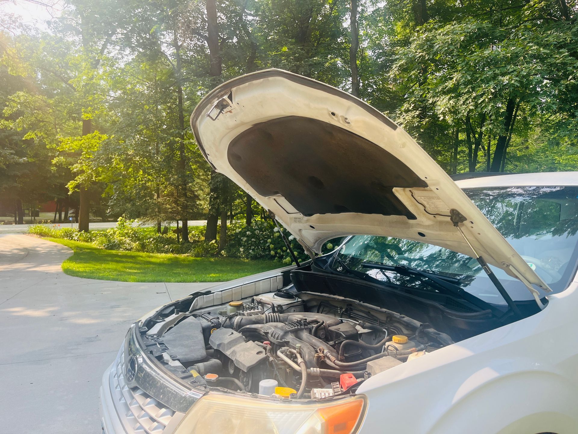 A white Subaru Forester with its hood open, parked on a sunny summer day.