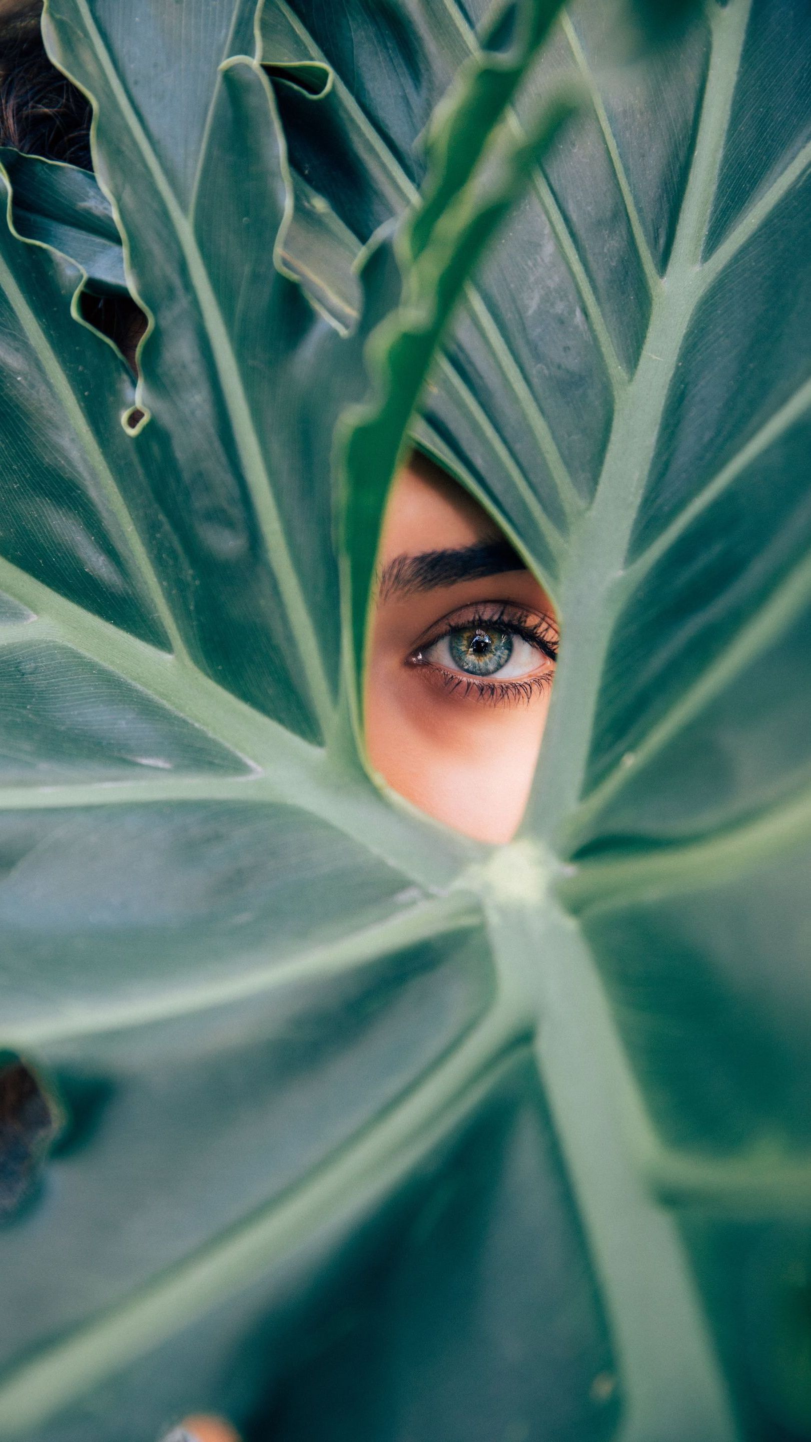 eye behind a leaf