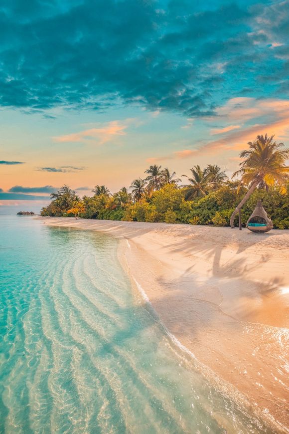 A tropical beach with palm trees and a boat in the water at sunset.