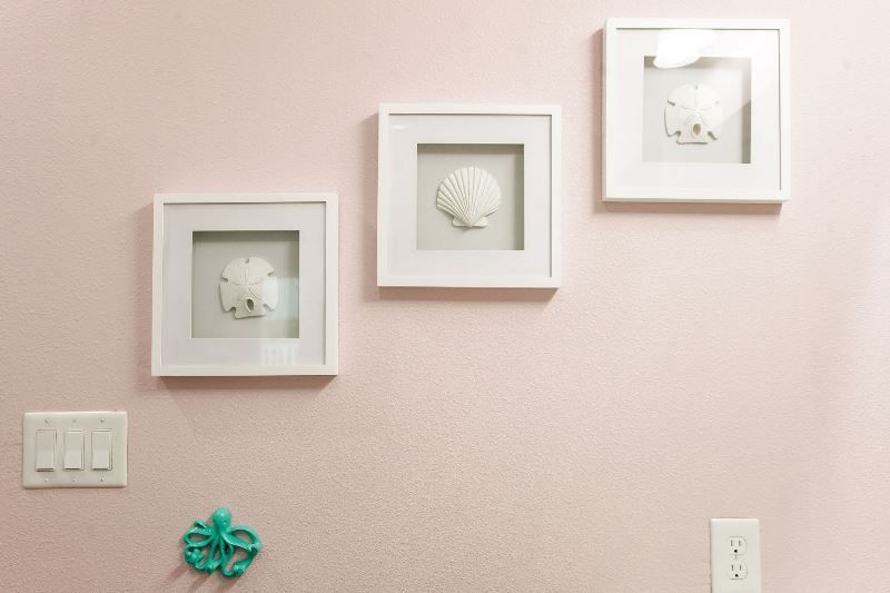 Three pictures of seashells are hanging on a pink wall.